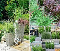 Zeit Der Schonen Graser Edel Elegant Gartencenter Augsburg Facebook