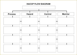 Haccp Flow Diagram Template Tucsontheater Info