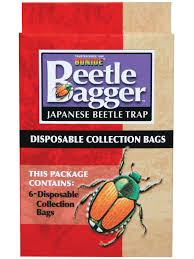 Signs of japanese beetle damage. Bonide Japanese Beetle Trap Replacement Bags Gardener S Supply
