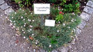 Der garten als rückzugsmöglichkeit, als entspannungsoase, als quelle der inspiration oder als abenteuerspielplatz. Neue Augsburger Rundschau Dein Garten Kann Nicht Warten