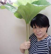チダイの酒蒸し蕗の葉包み リコピン日記
