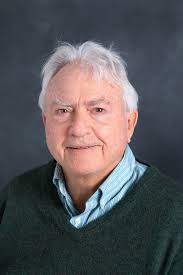 The immunobiology of corneal HSV-1 infection and herpetic stromal keratitis 