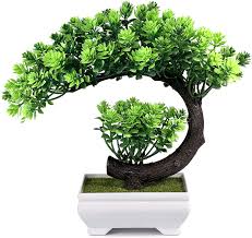These plants are fun to own and easy to care for, and even if you don't have a green thumb, you can still maintain a healthy bonsai tree. Amazon Com Small Artificial Plants Bonsai Tree Fake Plants Room Decor For Bedroom Aesthetic And Farmhouse Bathroom Decor 9 5 X 8 5 Inch Home Kitchen