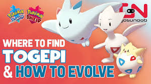 Where To Find Togepi Togetic How To Evolve Into Togekiss Pokemon Sword And Shield Evolution