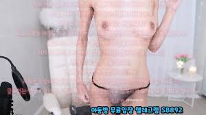 질내사정 펨돔 대딸 야동 선정
