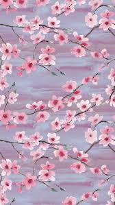 Cherry blossoms at night japan beautiful wallpaper pinterest. Cherry Blossom Wallpaper Enjpg