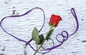 Only an animal lover can understand the sadness of losing a pet. Loss Of A Pet Poems And Prayers For Comfort And Celebration