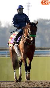 【ワンピースmad】コラソンとロー 二人物語。 【mad/スラムダンク】三井寿：俺はバスケの夢をわすれない、ずっと 世界が終わるまでは wands/ slam dunk アニメ/ 安西先生 バスケがしたいです/ 灌篮高手. Aqgbxrmqtjlwtm