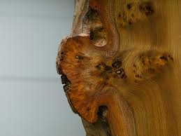 Live Edge Furniture Tables Uk Creating From Live Edge Wood