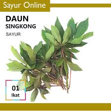 Seperti kumpulan gambar pohon di bawah ini, yang sedikit banyak mengilustrasikan keberagaman itu. Sayuronline Daun Singkong Sayur 1 Ikat 200g Shopee Indonesia