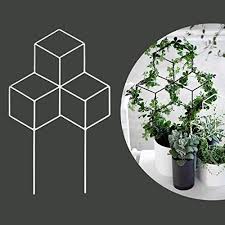 Check spelling or type a new query. Seway Garden Metal Trellis Lattice Shaped Plant Trellis For Diy Potted Climbing Plants Support Flower Vegetables Rose Vine Pea Ivy Cucumbers Iron Metal Amazon Com Au Garden