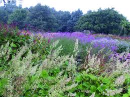 Pin On Gardens Of Piet Oudolf