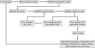 rdi calculator an analysis tool to assess rna distributions