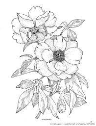 Top 25 flowers coloring pages for preschoolers: Flower More Pins Like This At Fosterginger Pinterest Drawings