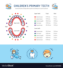 Childrens Primary Teeth Schedule Of Baby Teeth