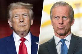 Senate parliamentarian deals another blow to GOP megabill