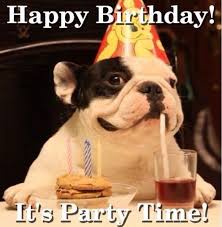 Funny Happy Birthday Wishes In French Happy Birthday Card Bulldog Party Happy Birthday Funny Dog Happy Birthday Dog Happy Birthday Cousin