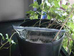 Arrange to care for each. Pin On Diy