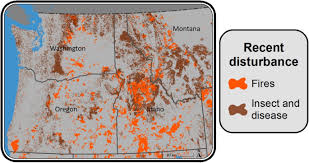 A frame table legs pair of two. Changing Wildfire Changing Forests The Effects Of Climate Change On Fire Regimes And Vegetation In The Pacific Northwest Usa Fire Ecology Full Text