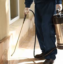 Through our pest control services in dubai, we make sure that you get reliable professionals who deliver great pest control services. Pest Control Maintenance Services Dubai Uae Pest Control Company Dubai