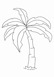 Palm Leaf Coloring Page Luxury Palm Tree Leaves Coloring Pages At Getcolorings Leaf Coloring Page Tree Coloring Page Leaf Coloring