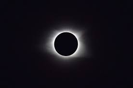 Download gambar 73 gambar bunga matahari hitam putih iv sunflower. Bukan Hanya Di Bumi Gerhana Matahari Ternyata Juga Terjadi Di Planet Lain Semua Halaman Bobo