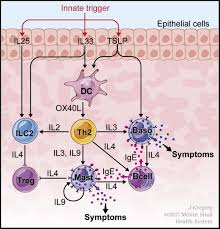 Prospecting sales opportunities in the service drive has never been easier. Immunology Of Food Allergy Immunity