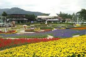 Pada zaman baekje sebuah taman bunga teratai digali di sebelah selatan istana dan. Cantiknya Ini Dia Taman Bunga Terbesar Di Thailand