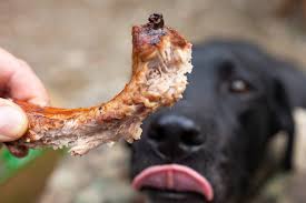 Can Dogs Eat Rib Bones Daily Paws