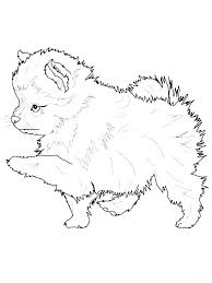 Puppy Colouring Pictures In 2020 Puppy Coloring Pages Dog Line Drawing Cute Animal Clipart