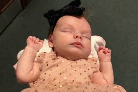 Fundraiser by Greg Johnston : Adopting Cordelia