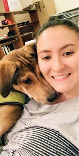 预订Diplomatic Area的遛狗保姆