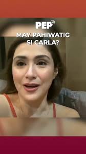Did Carla Abellana just hint at 3rd-party issue w/ Tom Rodriguez when she  liked a netizen calling him a cheater? #PEPNews #NewsPH #EntertainmentNewsPH