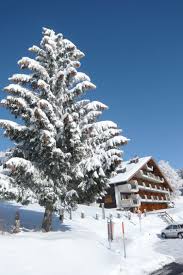 And in any city available in our database. Licorne 2 Star Self Catered Apartment In Sainte Croix Switzerland J2ski