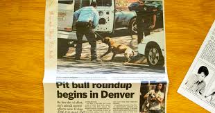 Maybe you would like to learn more about one of these? Surprise Surprise Denver S Pit Bull Ban Has Always Been Controversial Denverite The Denver Site
