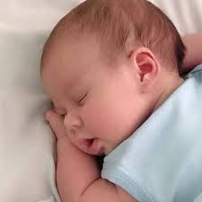 Mondo Piccino Bologna