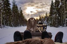 8 best reasons to visit lapland in the summer. Lappland Finnland Winter Highlights Von Husky Abenteuern Und Glasiglus