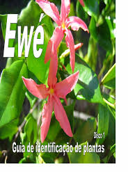 Image result for Ancylobothrys amoena