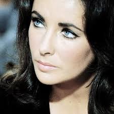 Brenda Janowitz, Author