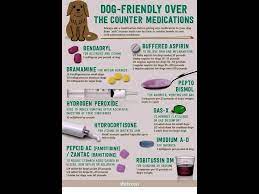 Pin On Dogs