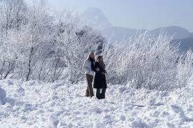 Pakistaner durchbricht kontrolle, karre geklaut, keine pappe, polizeibekannt und gesucht, drei pakistaner dabei. Tourist Info Kiefersfelden Alpenjoy De