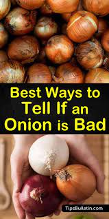 Best Ways To Tell If An Onion Is Bad