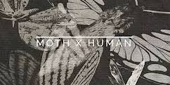 Moth Morning - Moth X Human