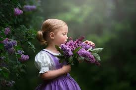Tools and widgets let you and your audience probe. Hd Wallpaper Mood Girl Lilac Bokeh Wallpaper Flare