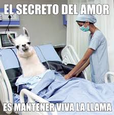 See more of funny valentines day memes, jokes, valentine meme pictures on facebook. Memes In Espanol You Say Happy San Valentine S Day Imgur Imgur