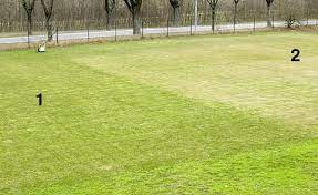 Mulchmahen Spart Zeit Und Geld Mein Schoner Garten