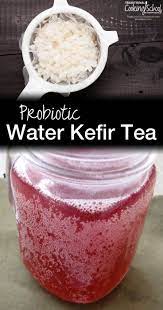 Probiotic Water Kefir Tea Kefir Recipes Kefir Flavors Water Kefir