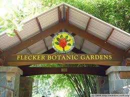 Fotogalerie Rtw05 3 Flecker Botanischer Garten Cairns Thinkoholic Com