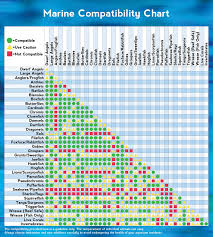 Marine Animal Compatibility Chart