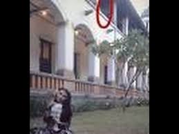Bahkan sebagian masyarakat menganggap lawang sewu. Heboh Penampakan Di Lawang Sewu Semarang Youtube